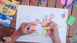 BIC COLORING PLASTIDECOR