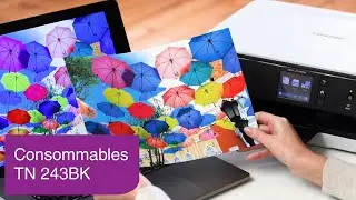 TN-243BK | Consommables | Brother