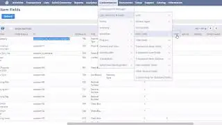 Create Netsuite Custom Fields for Publishing on eBay, Amazon or Walmart