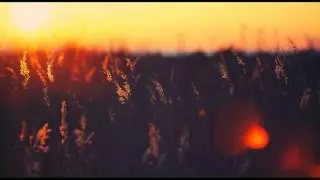 [PT] Showave - Eternal (Original Mix) [HD]