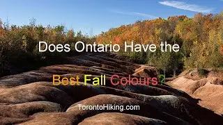 Ontario Fall Colours