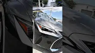 Inside Lexus of Orange Park: Our Staff Shares Their Favorite Lexus Models