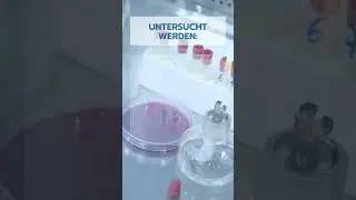 Chemische Expertise