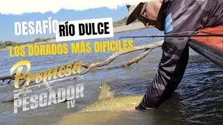 Desafío Río Dulce, los Dorados más difíciles de pescar.