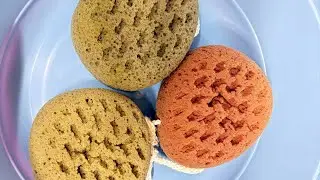 シャワースポンジ✖️チェリー🍒キラキラ洗剤で絞るShower sponge wrung out with cherry sparkle detergent