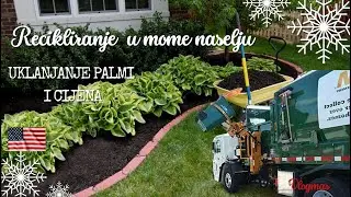UKLANJAMO PALMU ISPRED  KUĆE/CIJENE Nova vrtna zemlja/ Sedmično Recikliranje u mojoj zajednici