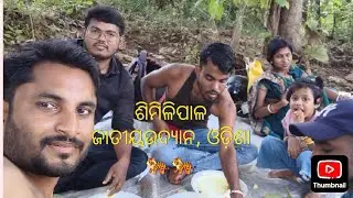  Similipal Tour, Odisha 🐅| Odisha Vlogger| #vlog #youtubevideo #accidentaltraveller #odishavlog