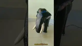 elephant | how to make elephant statue | elephant robot | asian elephant | aana | pooram