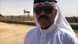 تكاثر ونجاح الضب في محمية الدوادمي الجزء1 Egyptian Uromastyx  sanctuary