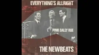 THE NEWBEATS