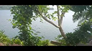 A smart view of Adomi Bridge Gardens
