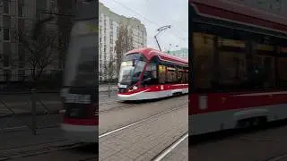 Трамвай⬜️60🟦 #animemusic #tramlink #tramline #train #tram #цойжив #tramtrain #metro #tramlines