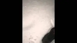 FP3x blow up a shoe