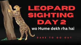 Tried our luck // day 2 // leopard sighting #youtube #yt 
