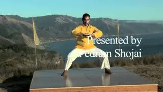 The Alchemy of Qi Gong