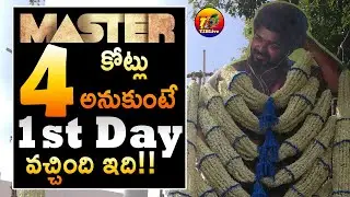 Master First Day AP TG Collections| Master 1st Day Telugu Collections| Master First Day Collections