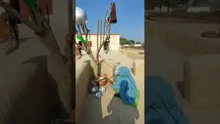 hamare gaon ki subah//village ka beautiful scene