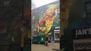 Stunning street art mural in Bristol