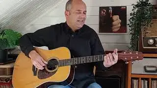 Vincent ~ Don McLean ~ cover by Leon van der Meer