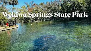 Wekiwa Springs State Park: Camping and Kayaking @Carol-Beauty of Nature