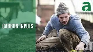 Carbon Inputs