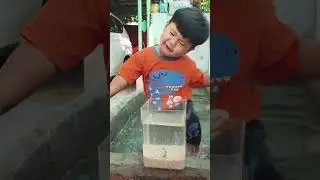 El dapat ikan cupang 2 ekor sekali serok, warna biru dan putih. Bagus banget ya el ikan cupangnya. 🥰