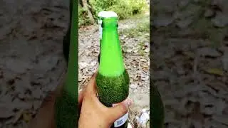 Beer lover status🍺 daru lover alcohol lover drink #beer #darulovers #beerlover #trending