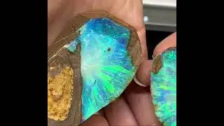 Boulder Opal Australian 🌈