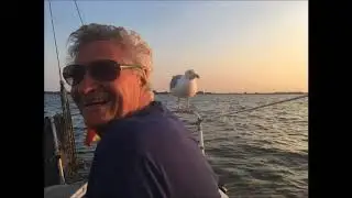 Eddy Mars - zeilen = rust !
