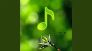 Refreshing Start