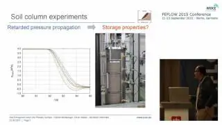 Impact of Gas Entrapment Below the Phreatic Surface on Pore Pressure Propagation Dynamics