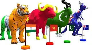 Paint Animals Duck,Tiger,Cow,Lion,Gorilla,Elephant,Dinosaur,Zebra Fountain Crossing Animal Game New