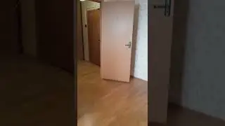2 5458659453303797208