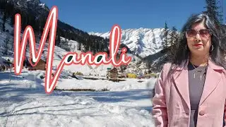 Shimla Manali Tour/ Manali Sightseeing/ Manali Best Bengali Restaurant/Manali Tour @Trendytraveller