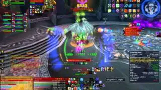 Hand of Immortal Justic Vs. Blood Queen Lana'thel 10 heroic