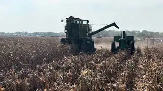 John Deere 45EB shelling at Half Century of Progress #itscorn #farmlife