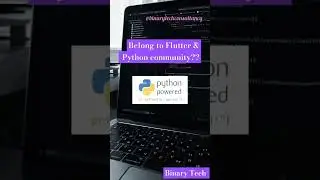 python flutter community 