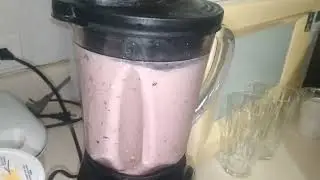 Make Berry Fruit Plant Protein Smoothie with me!