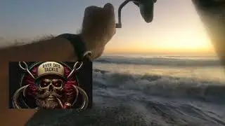 Leopard Shark Fishing | Oct 4, 2025