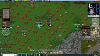 Ultima Online 2025 UORPg PvP Assasin