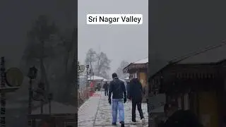 Srinagar ki waadi #srinagar #snowfall #kashmir #snow #nature #mountains #travel #india #wintervibes