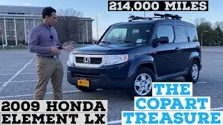 I bought the cheapest copart element - 2009 honda element lx