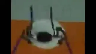 Уитли Краб