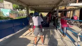Somos careta azul Rosa severo de Acapulco Prof.jose Luis Hernández 