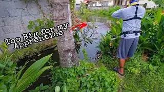 Urban Fishing Philippines with My Apprentice #SnakeheadFishing #MancingIkanGabus #UrbanFishing
