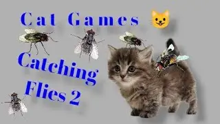 CAT GAMES 😺 Catching Flies 2