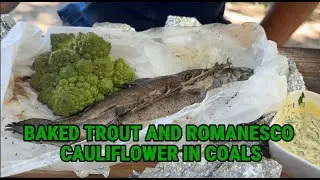 Outdoor Cooking: Baked Trout and Romanesco Cauliflower in Coals