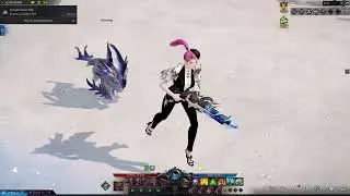LostArk NA---Vertorang pet showcase