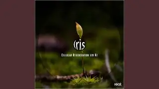 Cellular Regeneration 528 Hz