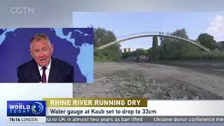 Rhine River Withers to Crisis Level: 